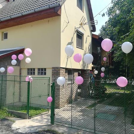Tiszavirag Vendeghaz Villa แซแก็ด ภายนอก รูปภาพ