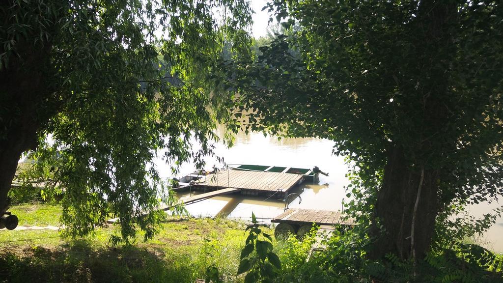 Tiszavirag Vendeghaz Villa แซแก็ด ภายนอก รูปภาพ